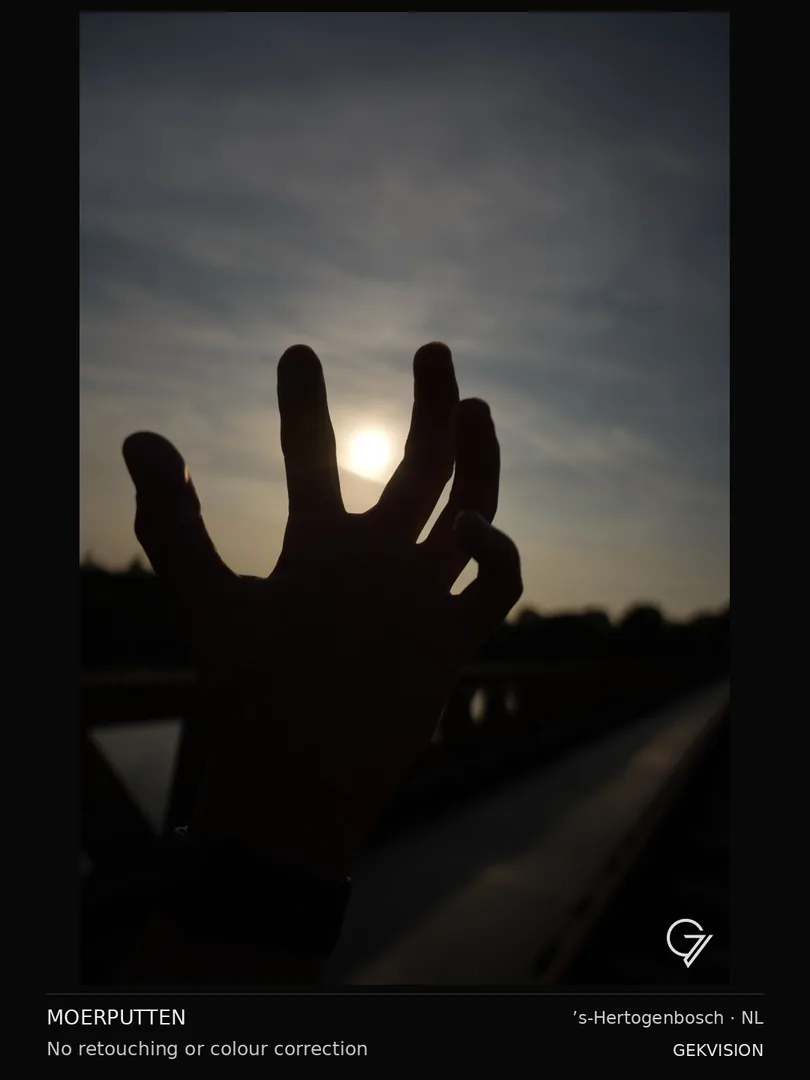 Reaching for the sun