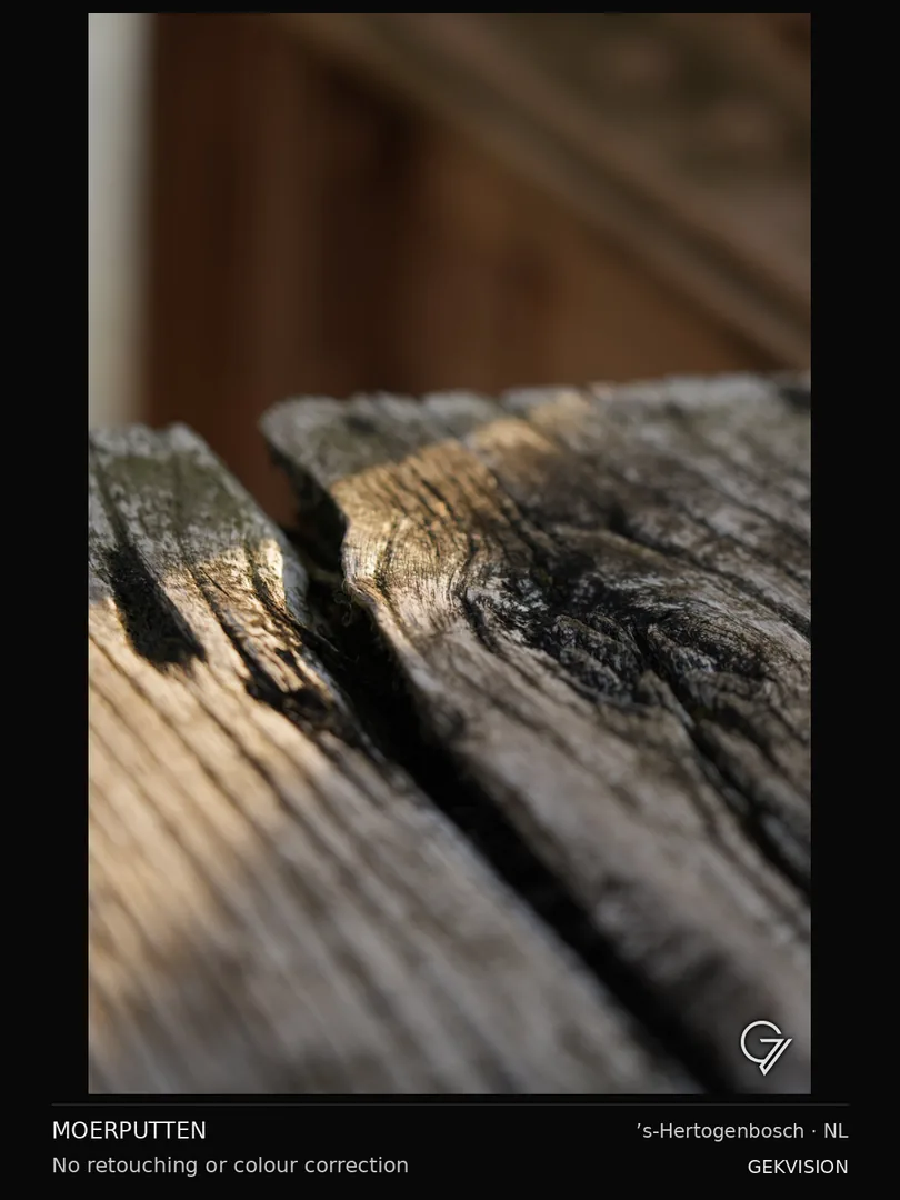 Traces in wood