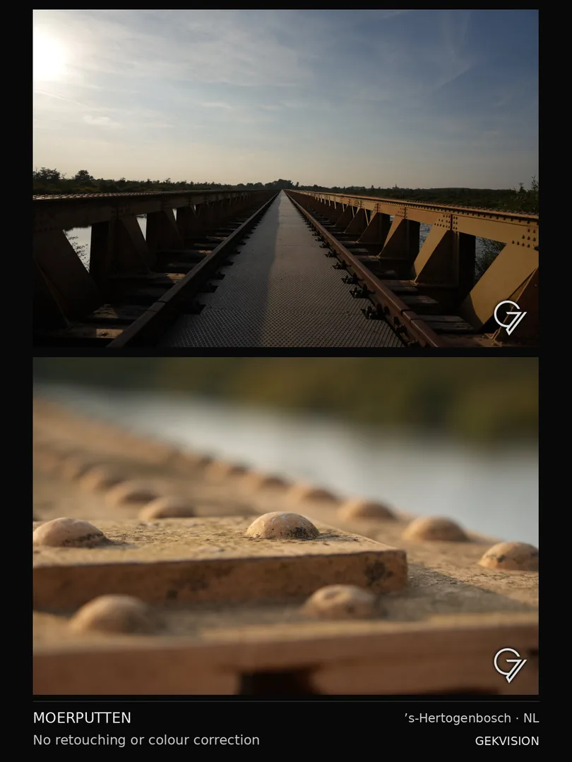 Bridge and rivets